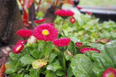 Similar image 21422932