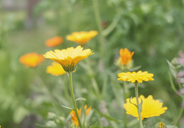 Similar image 21418855