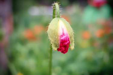 Similar image 21418856