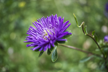 Similar image 21418858