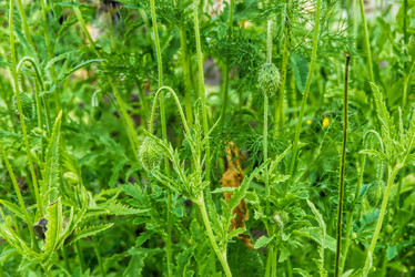 Similar image 21418859