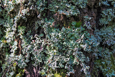 Similar image 21418861