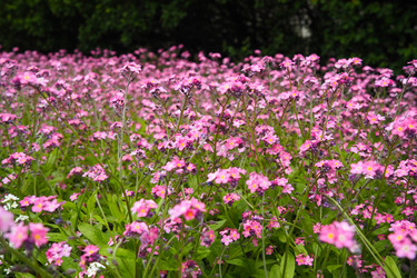 Similar image 21423391