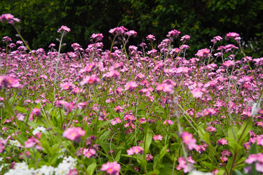 Similar image 21423392