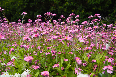 Similar image 21423393