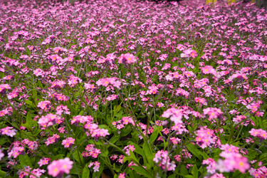 Similar image 21423394