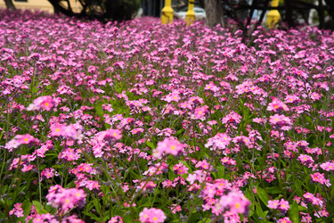 Similar image 21423395