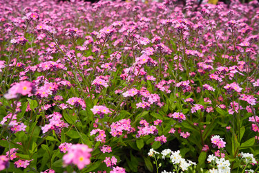 Similar image 21423396