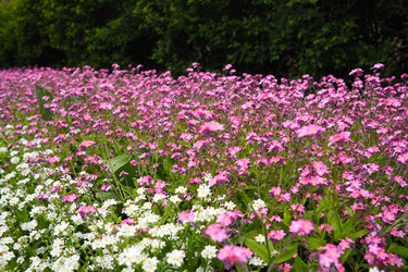 Similar image 21423398