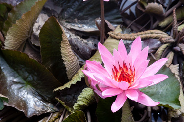 Similar image 21419229