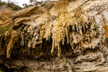 Similar image 21419233