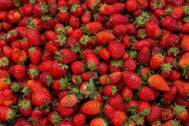 Similar image 21419245