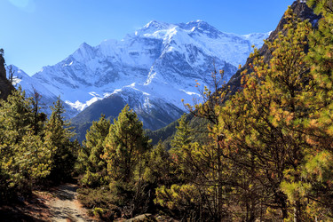 Similar image 21419257