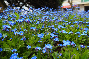 Similar image 21423402