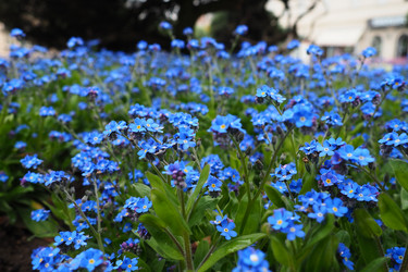 Similar image 21423405