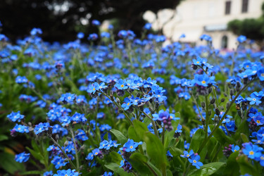 Similar image 21423406