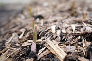 Similar image 21421300