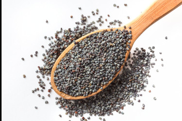 Similar image 21421302