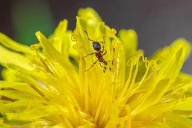 Similar image 21421303