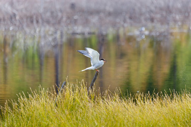 Similar image 21421306