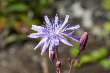 Similar image 21421307