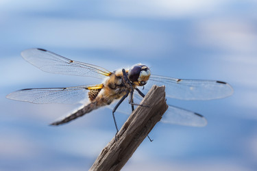 Similar image 21421313