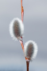 Similar image 21421314