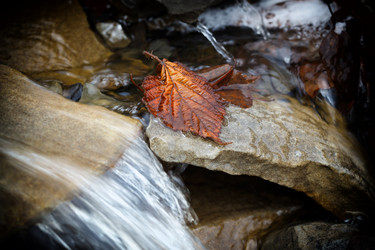 Similar image 21421315