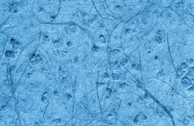 Similar image 21421324