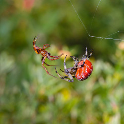 Similar image 21422030