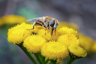 Similar image 21422034