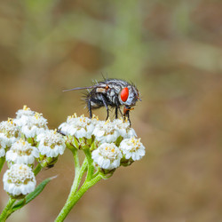 Similar image 21422035