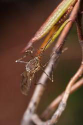 Similar image 21422036