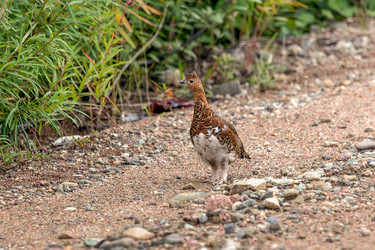 Similar image 21422037