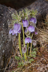 Similar image 21422038