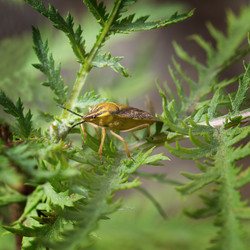 Similar image 21422039