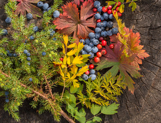 Similar image 21422040