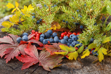 Similar image 21422042