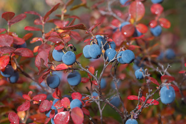 Similar image 21422044