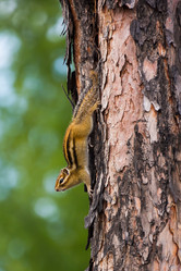 Similar image 21422045