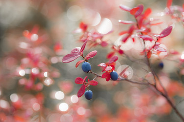 Similar image 21422048