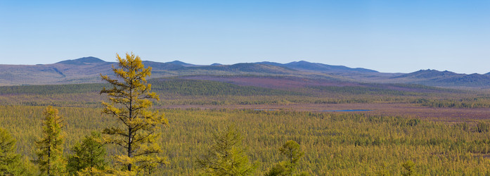 Similar image 21422050