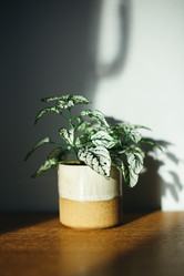 Similar image 21430810