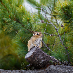 Similar image 21422051