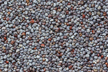 Similar image 21422058