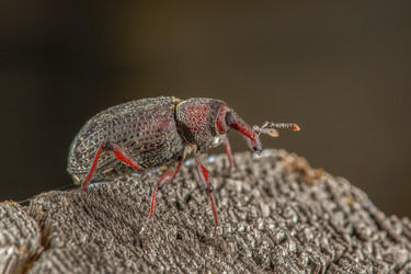 Similar image 21422064