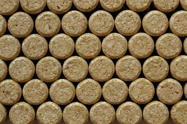 Similar image 21422065