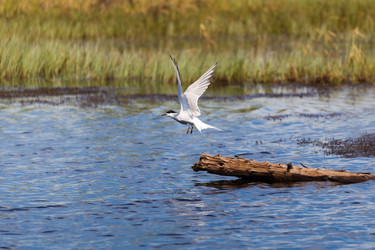 Similar image 21421327