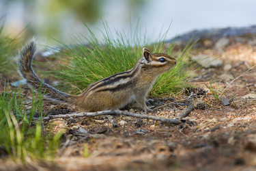 Similar image 21421328