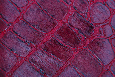 Similar image 21421329